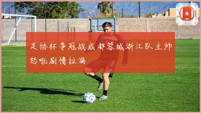 足协杯争冠战成都蓉城浙江队主帅怒吼剧情拉满
