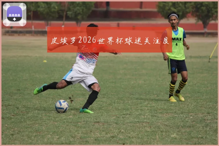 皮埃罗2026世界杯球迷关注度