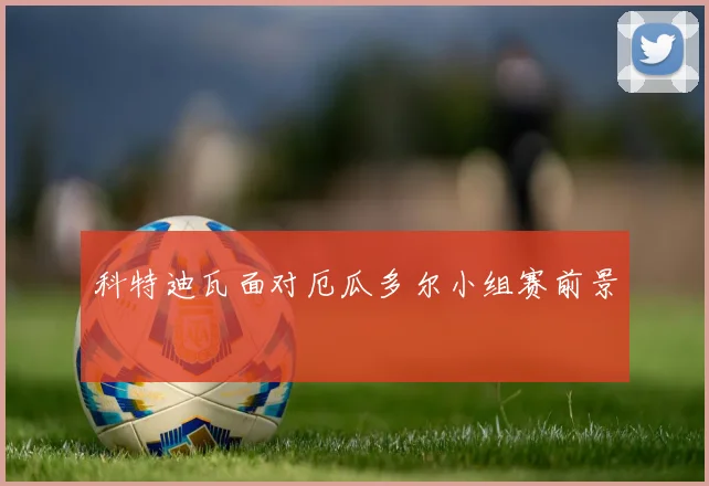 科特迪瓦面对厄瓜多尔小组赛前景