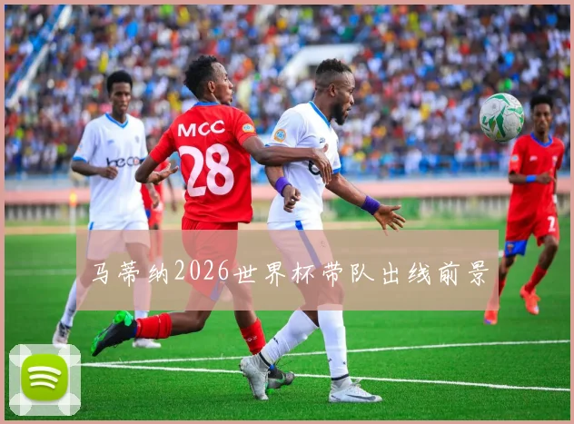 马蒂纳2026世界杯带队出线前景