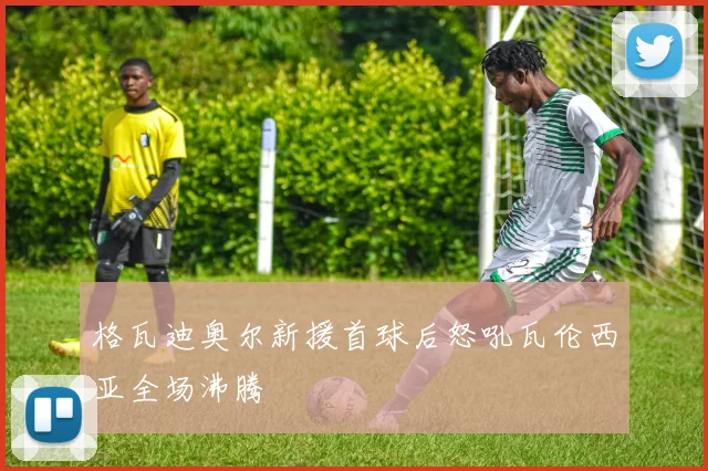 格瓦迪奥尔新援首球后怒吼瓦伦西亚全场沸腾