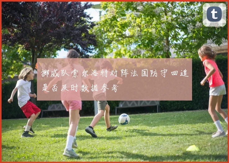 挪威队索尔洛特对阵法国防守回追是否及时数据参考