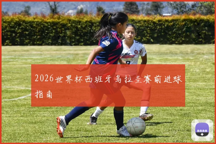 2026世界杯西班牙乌拉圭赛前进球指南