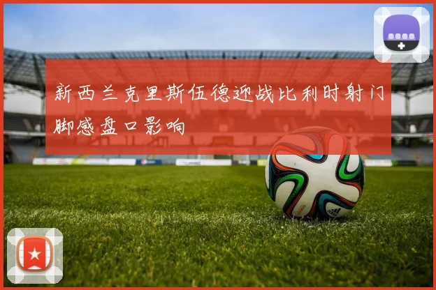 新西兰克里斯伍德迎战比利时射门脚感盘口影响